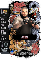 supercard akam s11 ink