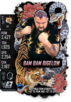 supercard bambambigelow s11 ink