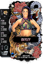 supercard bayley s11 ink