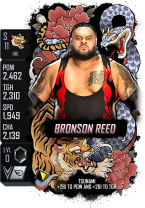 supercard bronsonreed s11 ink