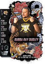 supercard bubbaraydudley s11 ink