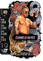 supercard carmelohayes s11 ink