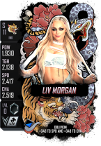 supercard livmorgan s11 ink