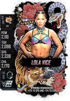 supercard lolavice s11 ink