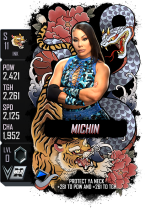 supercard michin s11 ink