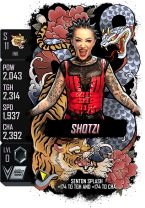 supercard shotzi s11 ink