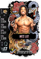 supercard weslee s11 ink