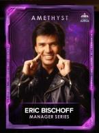 3 managers ericbischoffseries amethyst ericbischoff manager