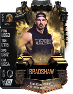 supercard bradshaw s11 metal