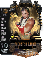 supercard britishbulldog s11 metal