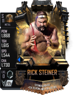 supercard ricksteiner s11 metal