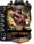 supercard scottsteiner s11 metal