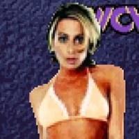 Wcw Nwo Thunder