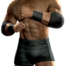 bobby lashley