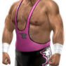 jim neidhart