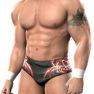 randy orton