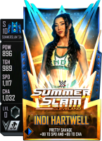 supercard indihartwell s10 ss24