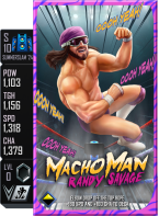 supercard randysavage special s10 ss24