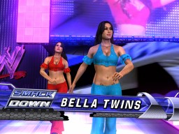 svr 2010 bella twins