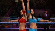 svr 2010 bella twins