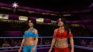 svr 2010 bella twins