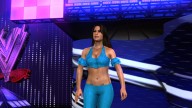 svr 2010 brie bella