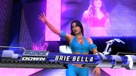 svr 2010 brie bella