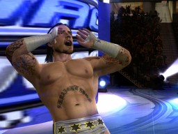 svr 2010 cm punk