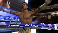 svr 2010 cm punk