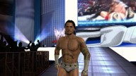 svr 2010 cm punk