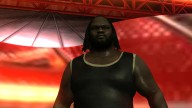 svr 2010 mark henry