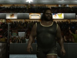 svr 2010 mark henry