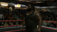 svr 2010 mark henry