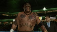 svr 2010 umaga