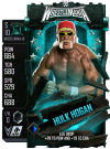 supercard hulkhogan s10 wm40