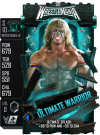 supercard ultimatewarrior s10 wm40