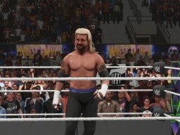 wwe 2k19 dpp