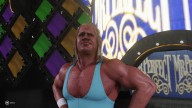 wwe 2k19 mr perfect