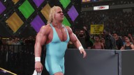 wwe 2k19 mr perfect