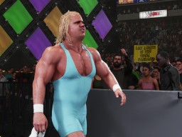 wwe 2k19 mr perfect