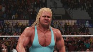 wwe 2k19 mr perfect