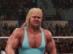 wwe 2k19 mr perfect