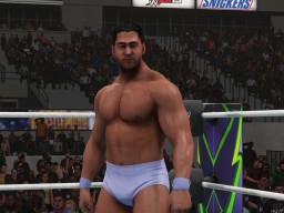 wwe 2k19 rick martel model