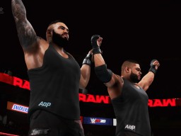 wwe 2k20 akam rezar