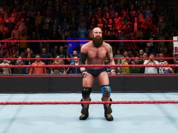 wwe 2k20 eric young