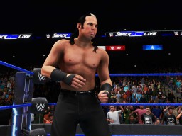 wwe 2k20 matt hardy