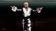 wwek20 ric flair 91