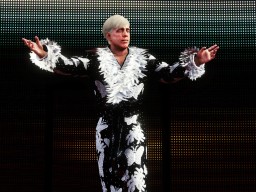 wwek20 ric flair 91