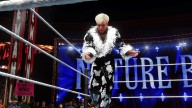 wwe 2k20 ric flair 91