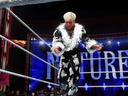 wwe 2k20 ric flair 91